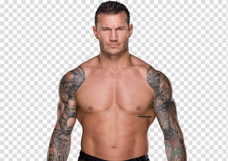Randy Orton  W Updated Hair transparent background PNG clipart