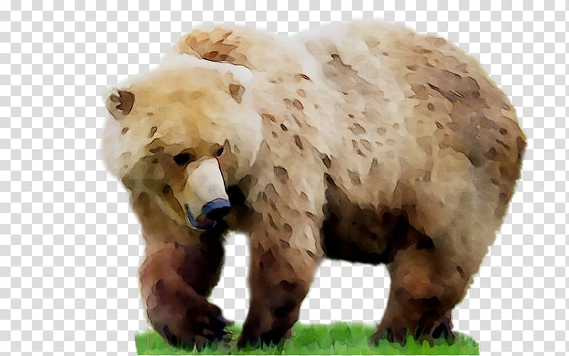 We Bare Bears, Grizzly Bear, Giant Panda, Animal, Sticker, Brown Bear, Cartoon, Rock transparent background PNG clipart
