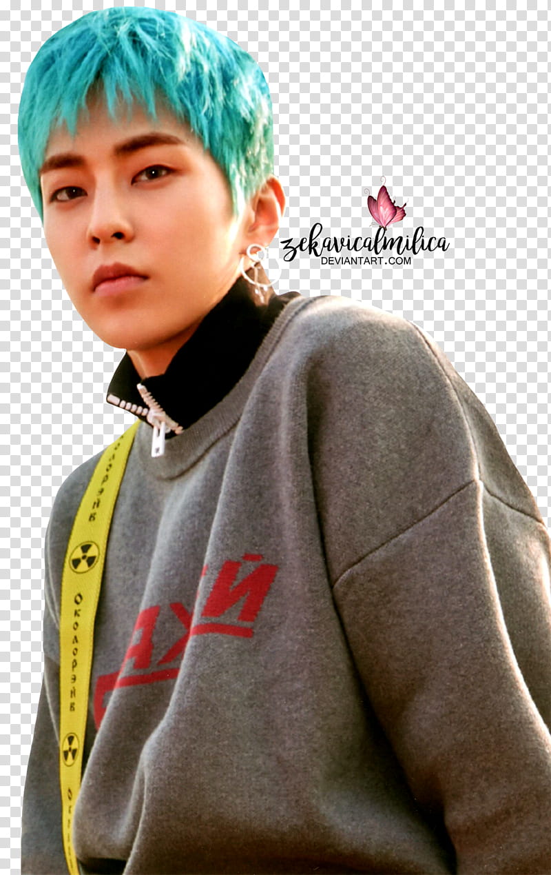 EXO CBX Xiumin Blooming Days, person wearing gray sweater transparent background PNG clipart
