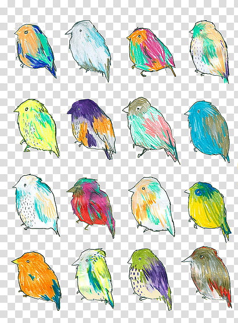 Super  , flock of assorted-color birds illustration transparent background PNG clipart