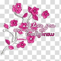 Love Story, pink-petaled flower \ transparent background PNG clipart