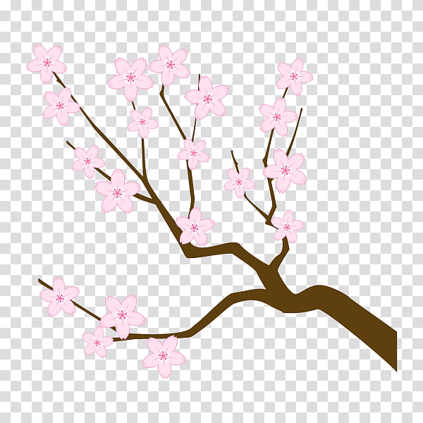 Cherry Blossom Tree Drawing, Branch, Twig, Plants, Flower, Plant Stem, Silhouette, Cerasus transparent background PNG clipart