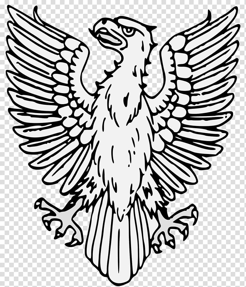 Bird Line Drawing, Chicken, Bald Eagle, Watercolor Painting, Line Art, Cartoon, Golden Eagle, Bird Of Prey transparent background PNG clipart