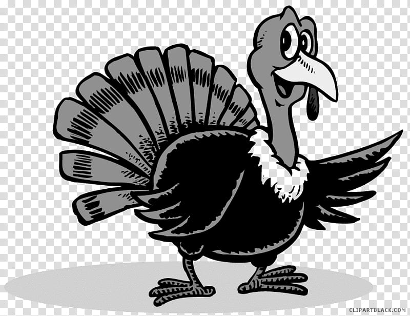 Thanksgiving Turkey Drawing, Turkey Meat, Cartoon, Chicken As Food, Veganism, Bird, Beak, Black And White transparent background PNG clipart