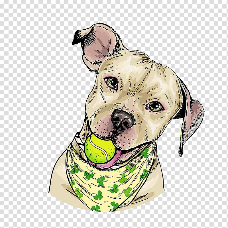 dog snout pit bull american pit bull terrier dog collar, Nonsporting Group transparent background PNG clipart