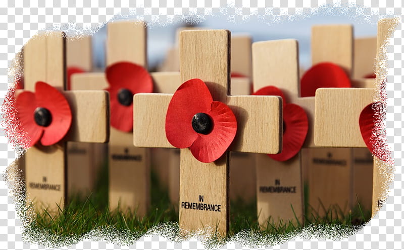 Memorial Day Poppy Flower, World War I, Armistice Day, Remembrance Sunday, World War I Centenary, November 11, 2018, Anniversary transparent background PNG clipart