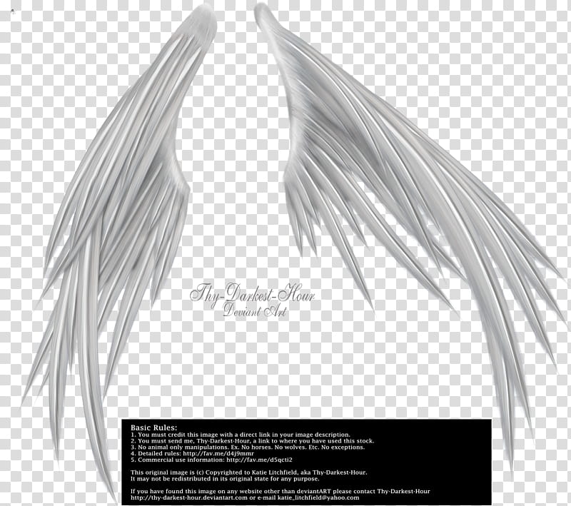 Wings of Madness Silver, white wings illustration with text overlay transparent background PNG clipart