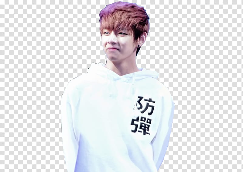 Bangtan Sonyeondan BTS transparent background PNG clipart