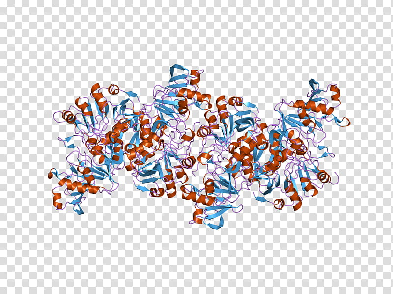 Tyrosinase Text, Enzyme, Melanin, Oxidase, Catechol Oxidase, Oxidoreductase, Hydroxylation, Levodopa transparent background PNG clipart