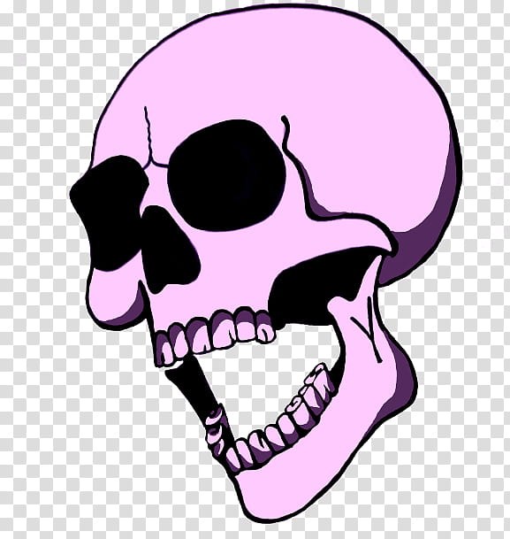 Skull Drawing, Yorick, Snout, Jaw, Bone, Pink, Nose, Mouth transparent background PNG clipart