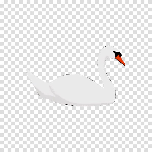 bird swan ducks, geese and swans water bird beak, Watercolor, Paint, Wet Ink, Ducks Geese And Swans, Waterfowl, Goose, Tundra Swan transparent background PNG clipart