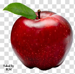 Red Aplle, red apple fruit transparent background PNG clipart