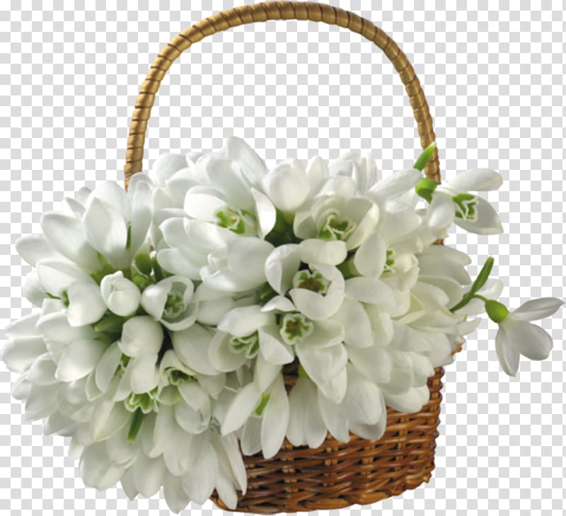 white flower flower girl basket cut flowers basket, Wedding Ceremony Supply, Flowerpot, Bouquet, Plant transparent background PNG clipart
