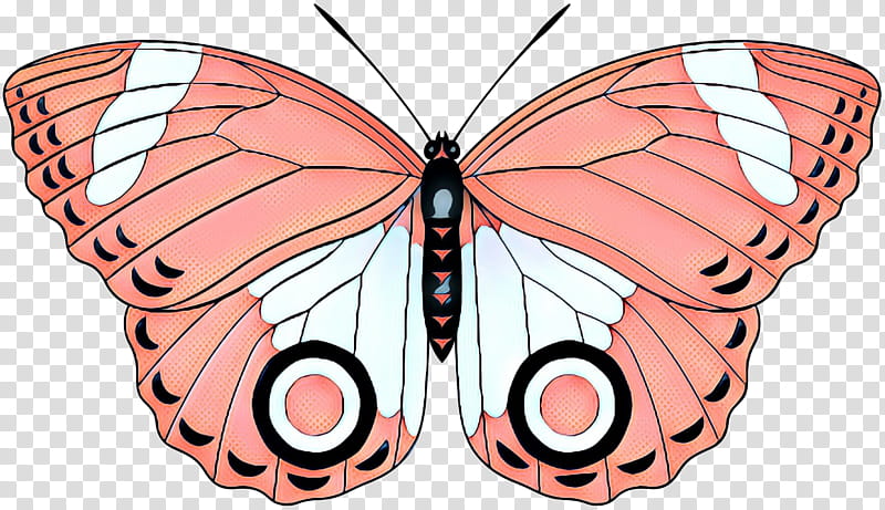 Monarch Butterfly, Brushfooted Butterflies, Pieridae, Moth, Symmetry, Line, Tiger Milkweed Butterflies, Moths And Butterflies transparent background PNG clipart