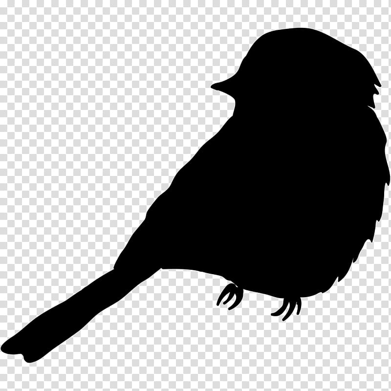 Bird Silhouette, House Sparrow, Finches, Common Raven, Beak, Animal, Crows, True Sparrows transparent background PNG clipart