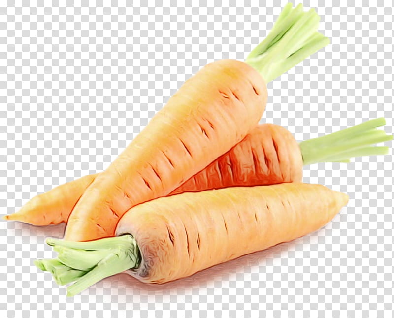 carrot food vegetable root vegetable prawn roll, Watercolor, Paint, Wet Ink, Radish, Ingredient, Parsnip, Daikon transparent background PNG clipart
