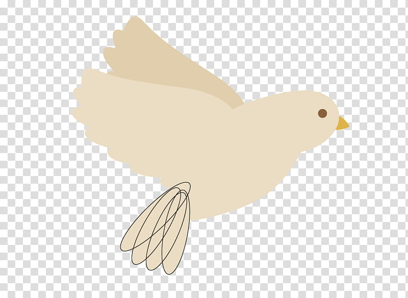 Duck, Bird, Beak, Bird Of Prey, Feather, Tail, Chicken, Wing transparent background PNG clipart