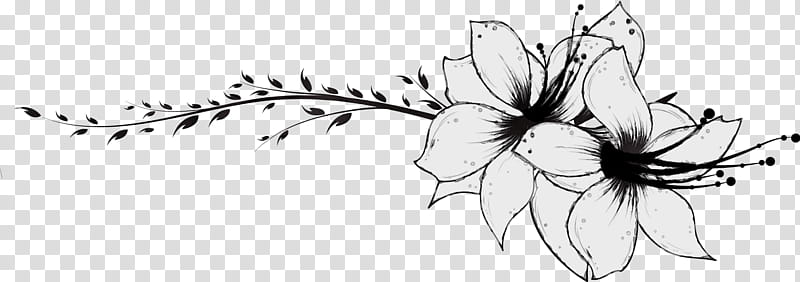 black-and-white plant flower petal wildflower, Flower Border, Flower Background, Floral Line, Watercolor, Paint, Wet Ink, Blackandwhite transparent background PNG clipart