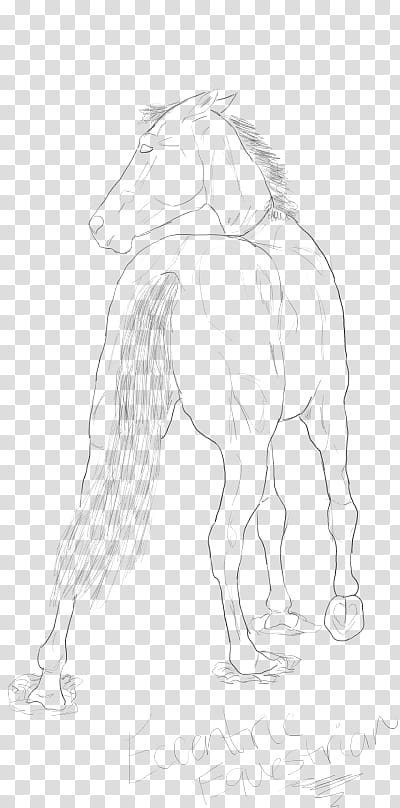 Free Use Lineart, horse sketch transparent background PNG clipart