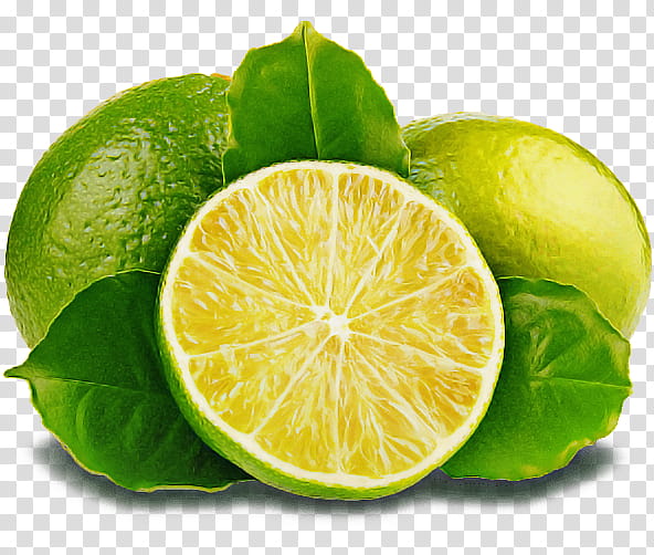 persian lime key lime lime citrus kaffir lime, Natural Foods, Lemon, Fruit, Sweet Lemon transparent background PNG clipart