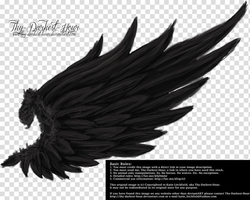 Angelic Innocence Black Free, The Darkest Hour wing transparent background PNG clipart