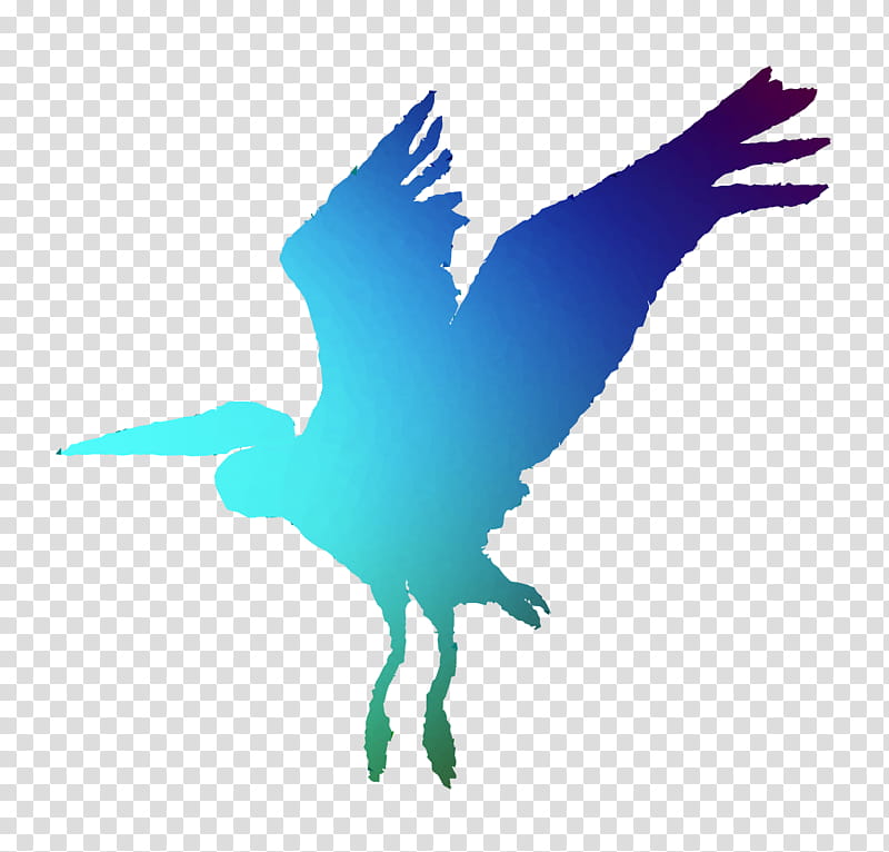 Beach, Heron, Green Heron, Beak, Bird, Great Blue Heron, Feather, Wing transparent background PNG clipart