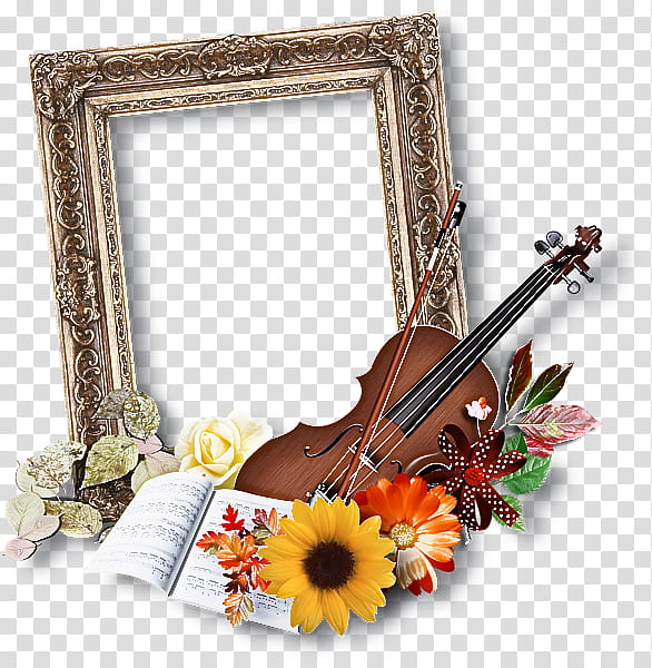 frame, String Instrument, Frame, Violin, Indian Musical Instruments, Flower, Plant, Mirror transparent background PNG clipart