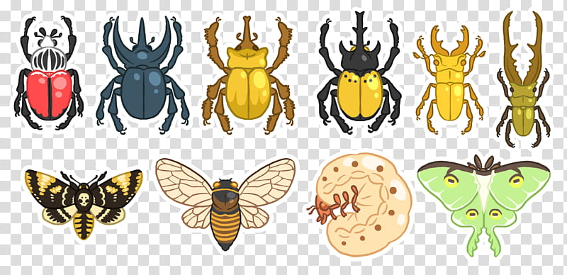 Elephant, Brushfooted Butterflies, Beetle, Butterfly, Hercules Beetle, Elephant Beetle, Atlas Beetle, Goliathus transparent background PNG clipart