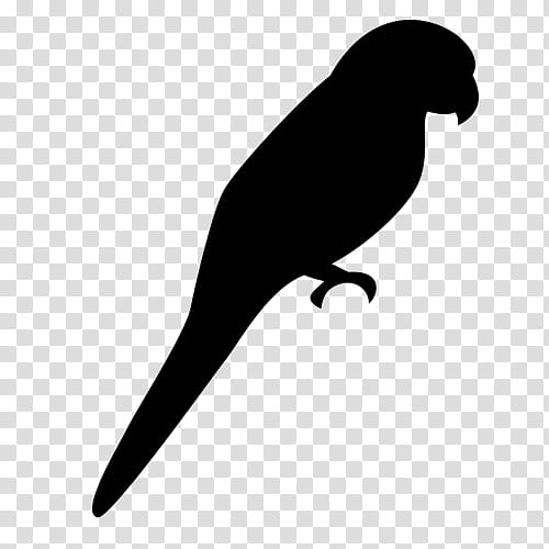 Bird Silhouette, Parrot, Budgerigar, Domestic Canary, Parakeet, Pet, Macaw, Beak transparent background PNG clipart