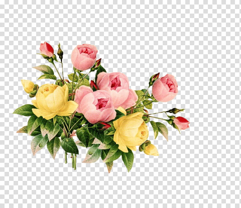, pink and yellow rose flowers transparent background PNG clipart