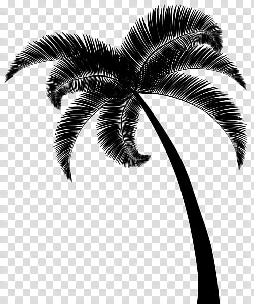 Coconut Tree, Dominoes, Asian Palmyra Palm, Game, Playing Card, Dice, Player, Manchester City Fc transparent background PNG clipart