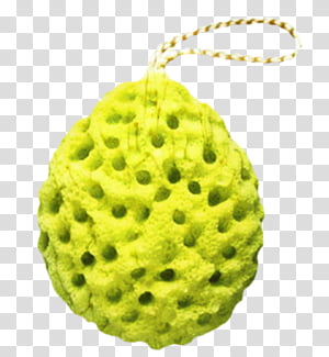 Bubble, Sponge, Bath Brushes, Infant, Bath Toy, Baths, Bathing, Shower transparent background PNG clipart thumbnail