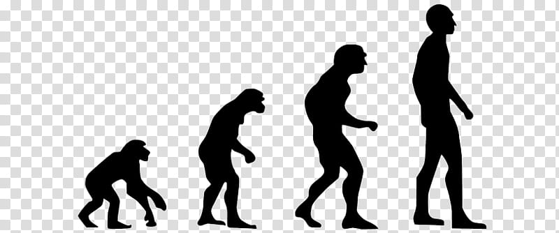 Human Evolution Silhouette, Neanderthal, Insitome Inc, African Apes, Biology, Darwinism, Phylogenetics, Charles Darwin transparent background PNG clipart