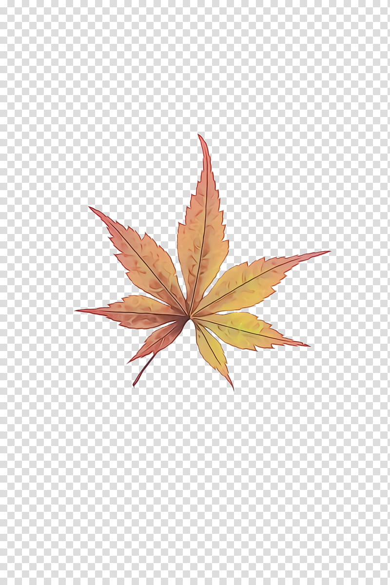 Maple leaf, Watercolor, Paint, Wet Ink, Tree, Sky, Originality, Project transparent background PNG clipart