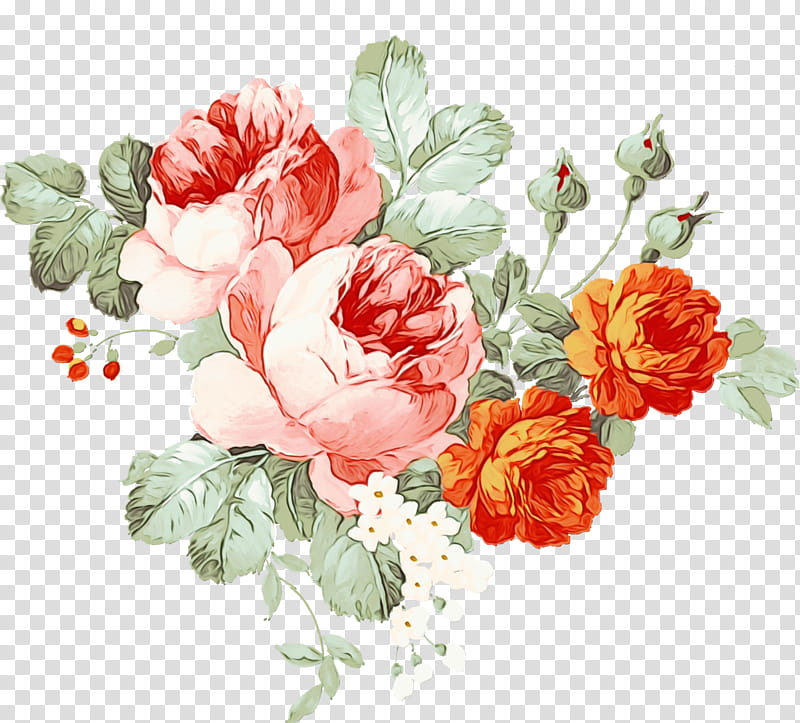 Drawing Of Family, Flower Painting, Watercolor Painting, Chinese Painting, Floral Design, Rose, Garden Roses, Plant transparent background PNG clipart