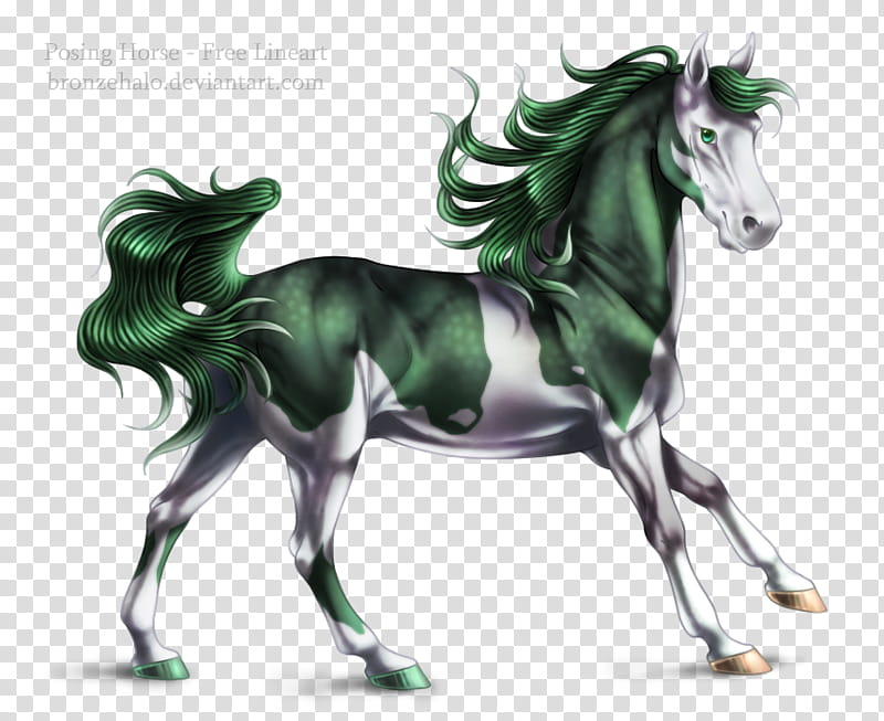 Free lineart Posing horse, white and green horse illustration transparent background PNG clipart