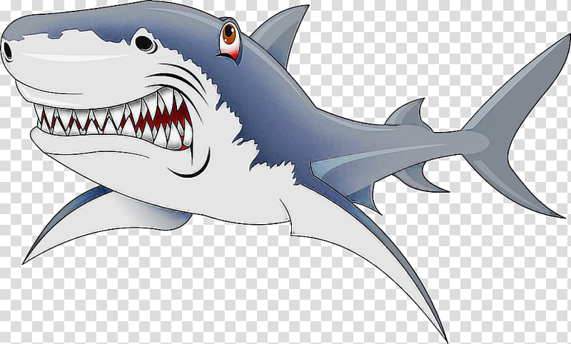 Shark, Fish, Great White Shark, Cartilaginous Fish, Lamniformes, Tiger Shark, Lamnidae, Cartoon transparent background PNG clipart