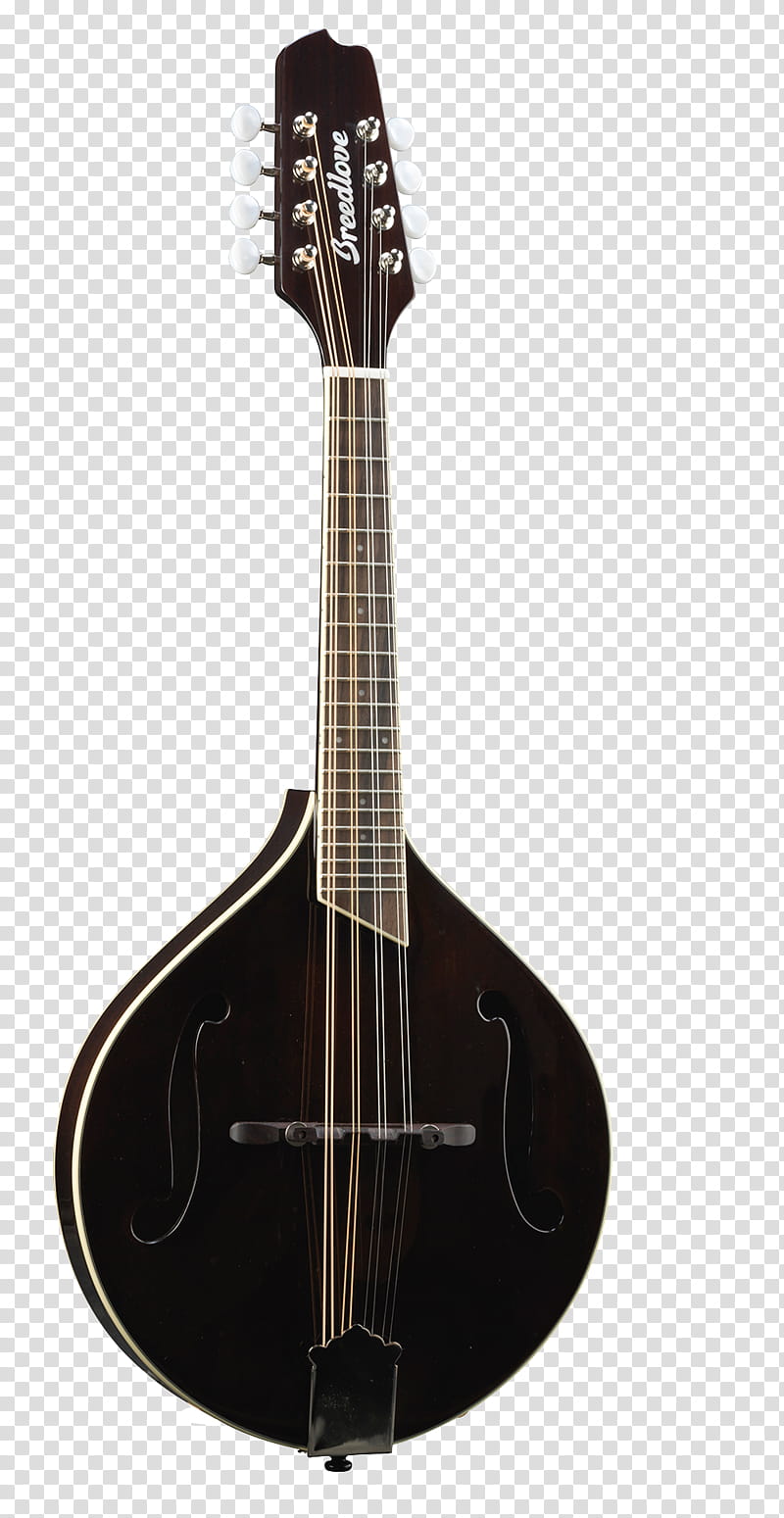 Violin, Mandolin, Acoustic Guitar, Bass Guitar, Breedlove Crossover Oo Mandolin, Tiple, Musical Instruments, Cuatro transparent background PNG clipart