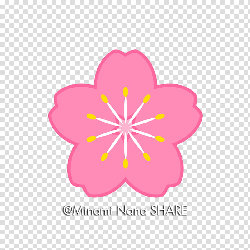 SHARE Sakura, pink petaled flower illustration transparent background PNG clipart