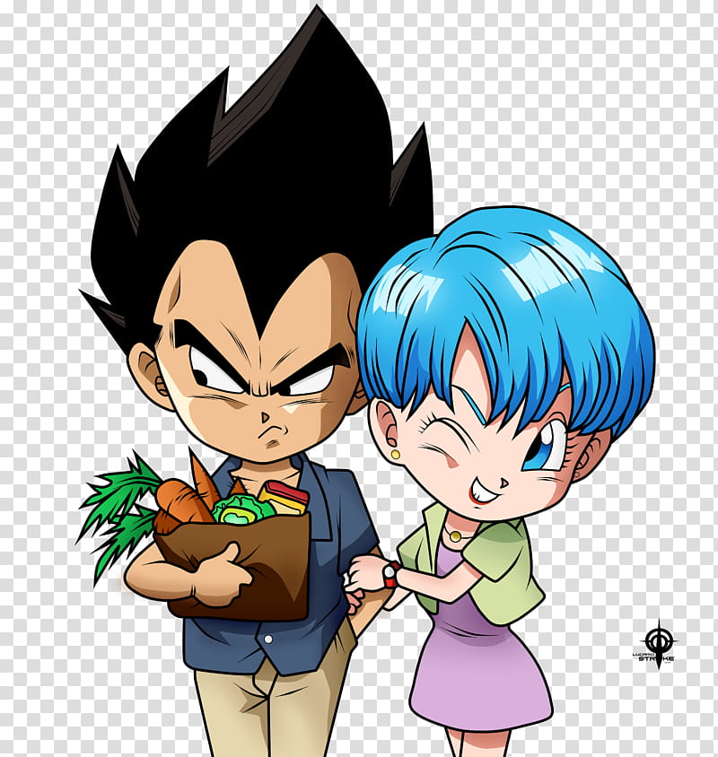Vegeta and Bulma Wallpaper  Download to your mobile from PHONEKY
