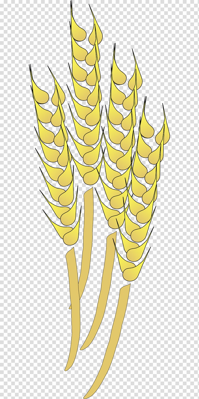 Family Logo, Wheat, Cereal, Grain, Leaf, Yellow, Plant, Grass Family transparent background PNG clipart