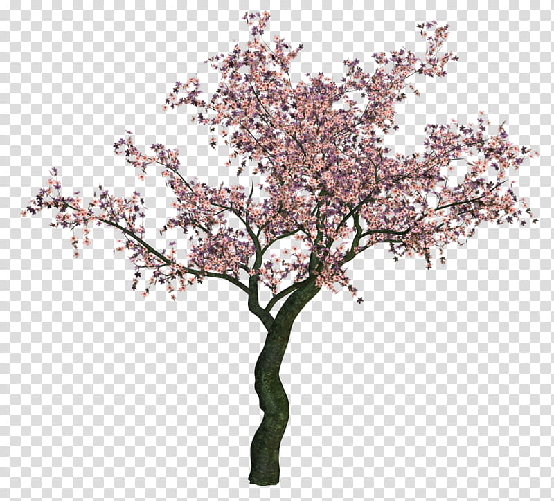 Various Flowers , pink cherry blossom tree transparent background PNG clipart