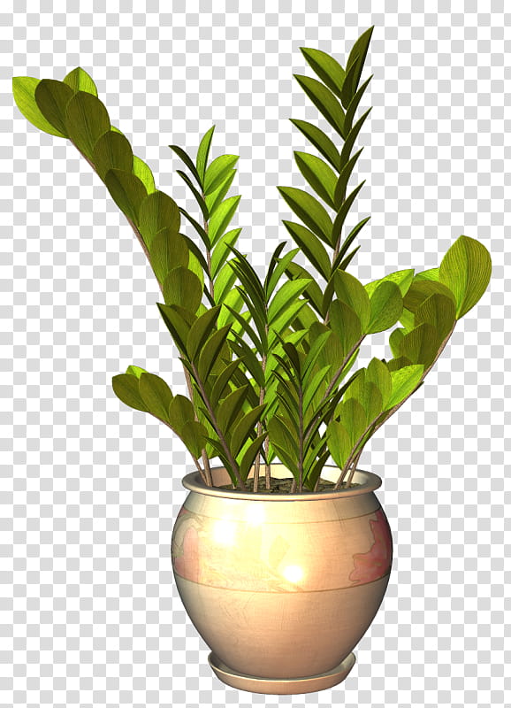 Green Grass, Flowerpot, Leaf, Houseplant, Plants, Ornamental Plant, Plant Stem, Painting transparent background PNG clipart