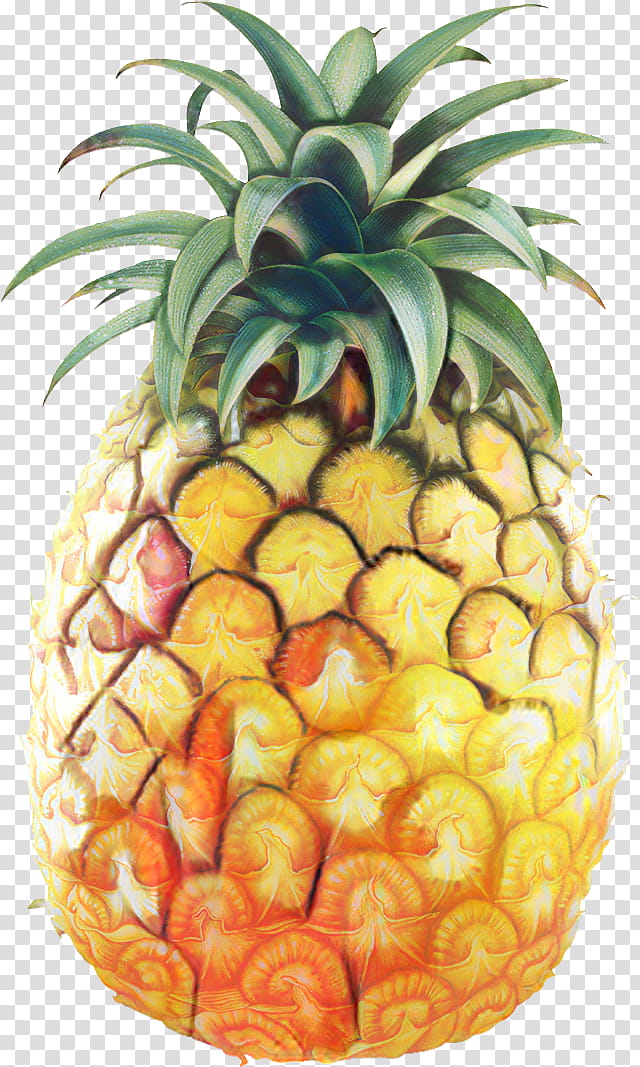 Juice, Pineapple, Pineapple Juice, Fruit, Drawing, Dole Food Company ...