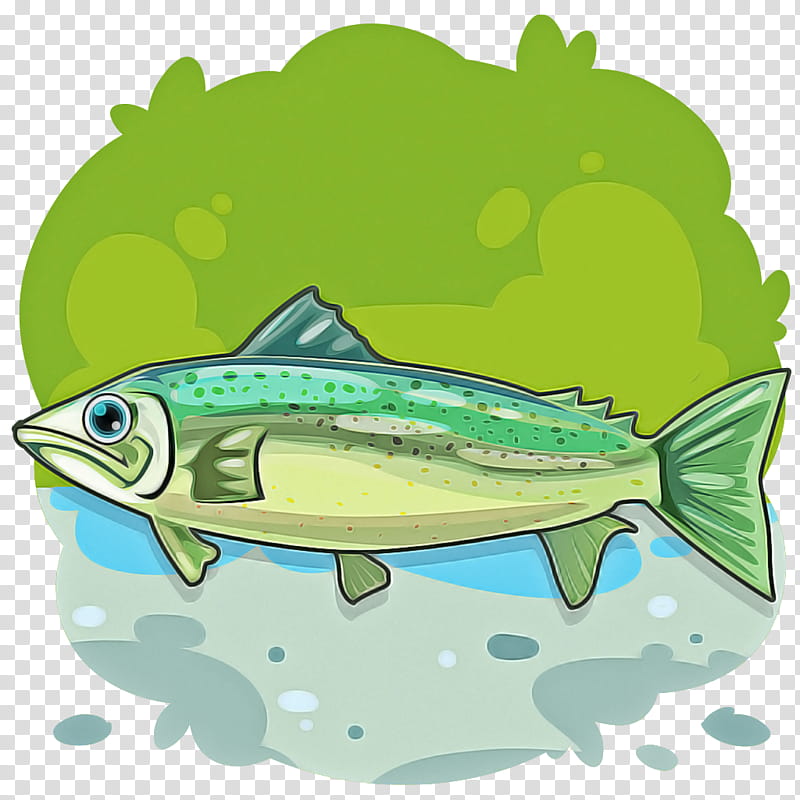 fish fish mahi mahi bony-fish salmon, Bonyfish, Mackerel transparent background PNG clipart