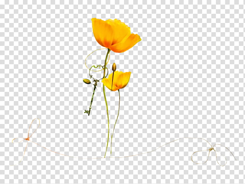 Floral Flower, Flash Video, Floral Design, Cut Flowers, Tulip, Still Life , Blog, Yellow transparent background PNG clipart