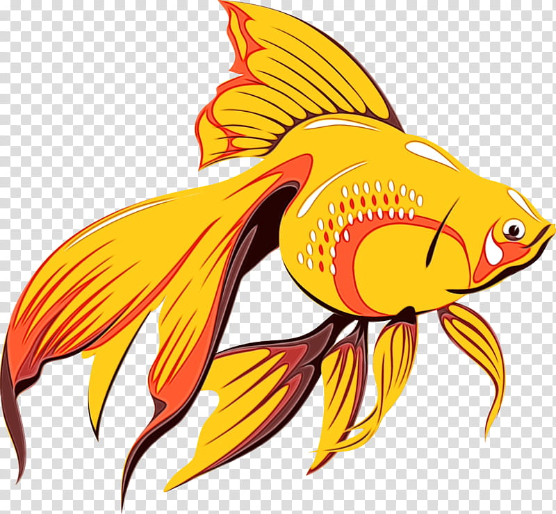 fish fish goldfish fin bony-fish, Watercolor, Paint, Wet Ink, Bonyfish, Tail, Rayfinned Fish transparent background PNG clipart