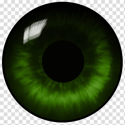 Realistic Eye Textures, green eye transparent background PNG clipart