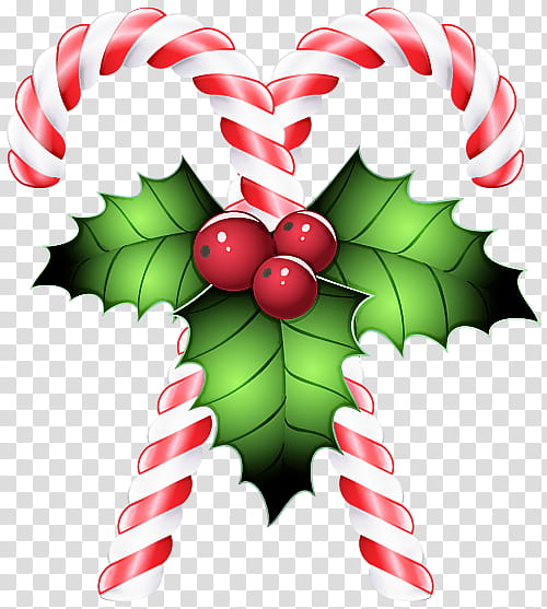 Holly, Leaf, Plant, Christmas , Tree, Berry, Viburnum, Flower transparent background PNG clipart