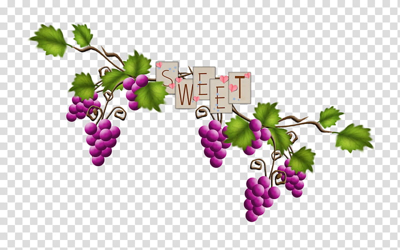 Flower Leaves, Grape, Fruit, Raisin, Grapevines, Grape Leaves, Grapevine Family, Vitis transparent background PNG clipart